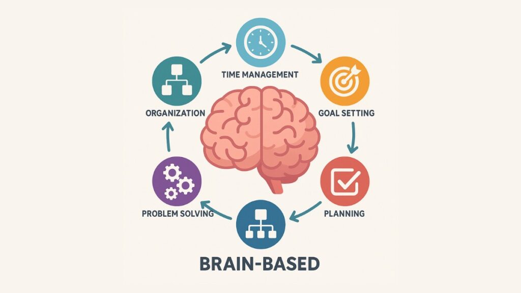 adhd brain diagram